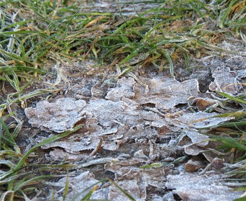 WinteranderMosel08 30122025-002