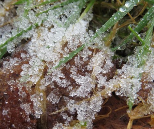 WinteranderMosel08 30122025-003