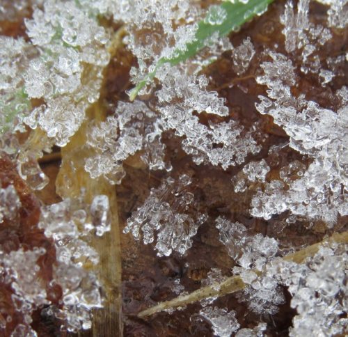 WinteranderMosel08 30122025-004