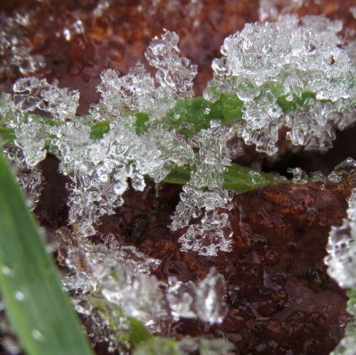 WinteranderMosel08 30122025-005