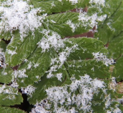 WinteranderMosel09 31122025-007