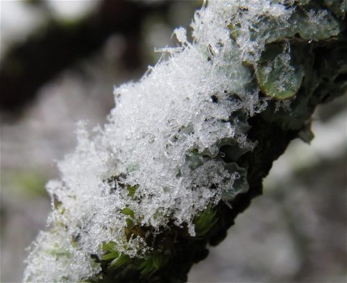 WinteranderMosel09 31122025-008