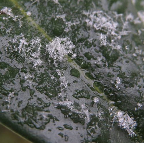 WinteranderMosel09 31122025-014