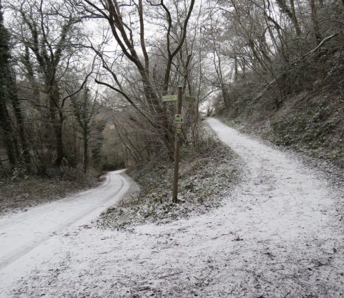 WinteranderMosel09 31122025-016