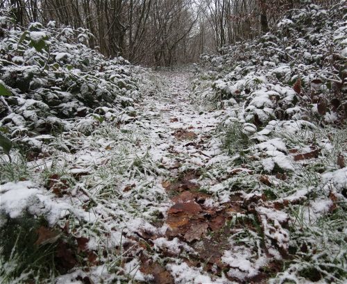 WinteranderMosel09 31122025-018