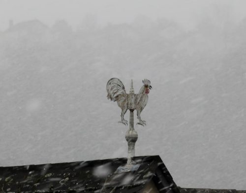 WinteranderMosel10 02012026-001