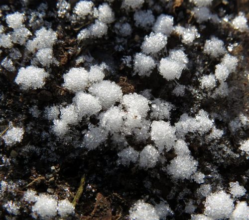 WinteranderMosel11 04012026-001