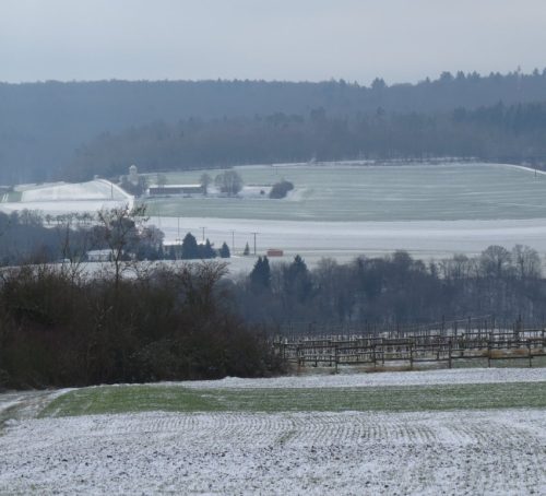 WinteranderMosel12 11012026-007