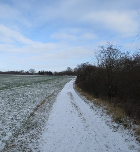 WinteranderMosel12 11012026-008