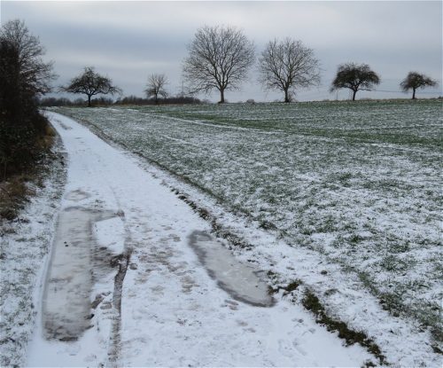 WinteranderMosel12 11012026-009