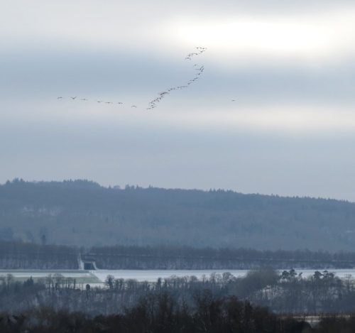 WinteranderMosel12 11012026-014