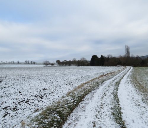 WinteranderMosel12 11012026-015