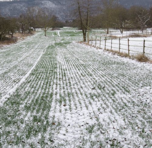 WinteranderMosel12 11012026-016