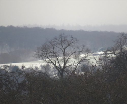 WinteranderMosel14 19022026-001