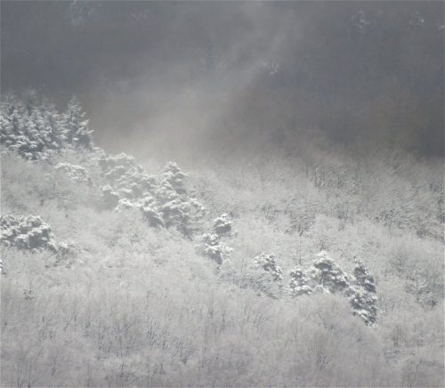 WinteranderMosel14 19022026-002