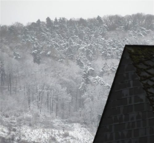 WinteranderMosel14 19022026-003