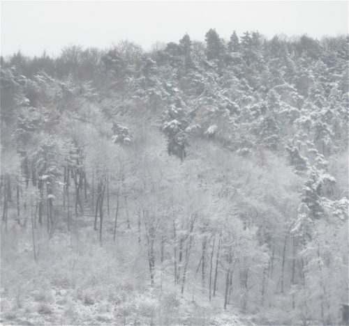 WinteranderMosel14 19022026-004