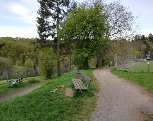 17042026Remstecken-Guels05