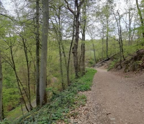 17042026Remstecken-Guels15