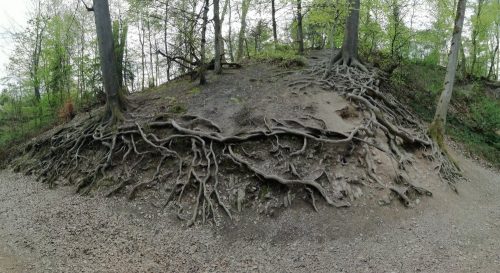 17042026Remstecken-Guels16