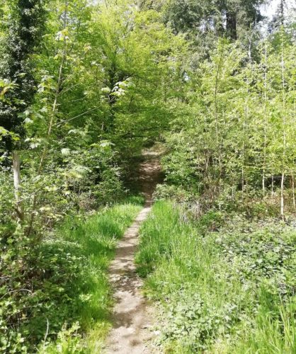 17042026Remstecken-Guels22