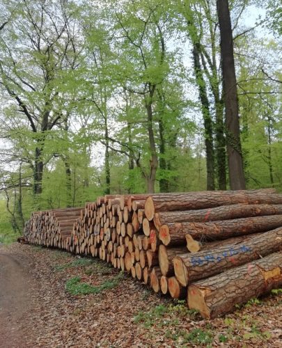 17042026Remstecken-Guels24