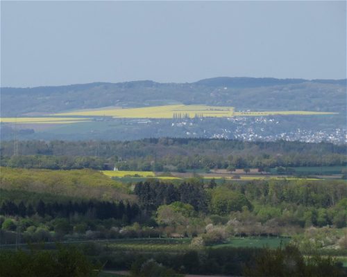 17042026Remstecken-Guels28