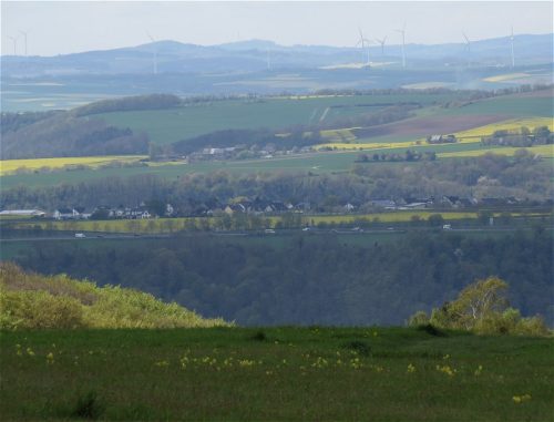 17042026Remstecken-Guels29