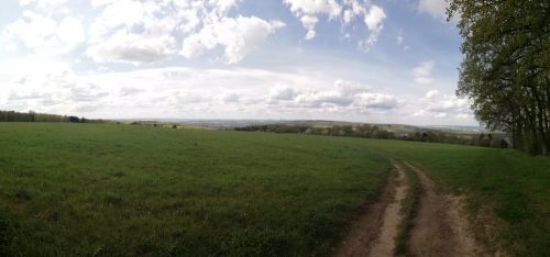 17042026Remstecken-Guels31