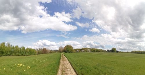 17042026Remstecken-Guels34