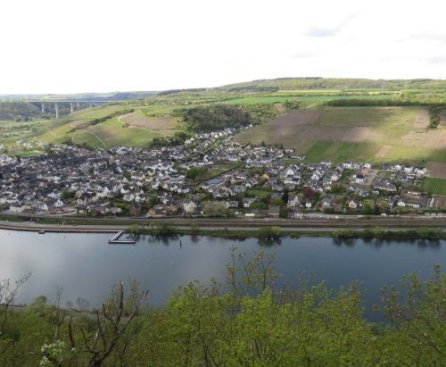 17042026Remstecken-Guels38