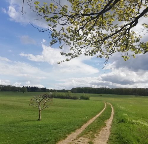 17042026Remstecken-Guels47