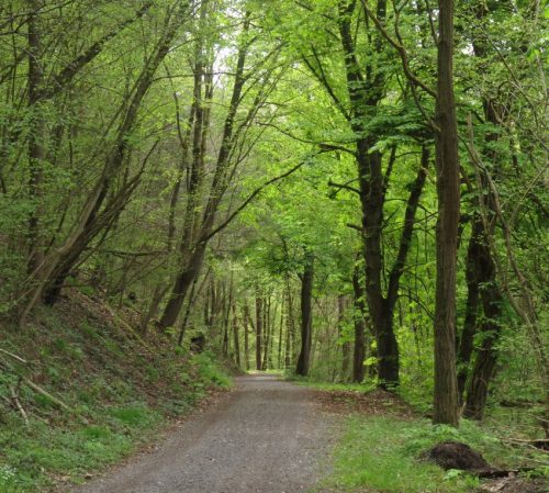 17042026Remstecken-Guels53