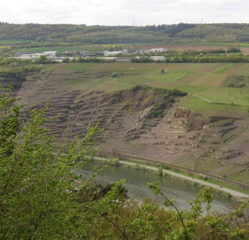 17042026Remstecken-Guels56