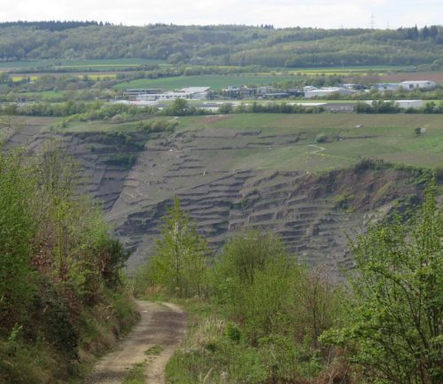 17042026Remstecken-Guels58