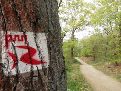 17042026Remstecken-Guels62