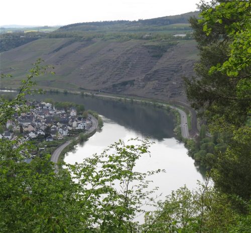 17042026Remstecken-Guels63