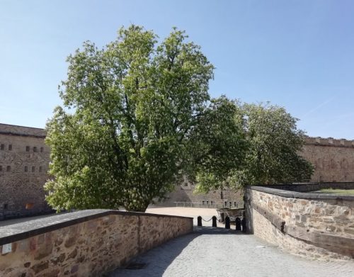 24042026FestungEhrenbreitstein44