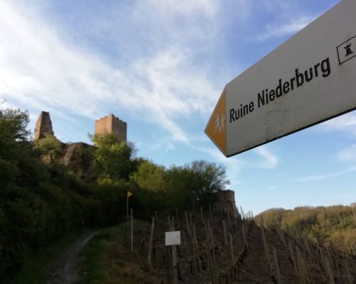 25042026WanderungKobernnachGuels03
