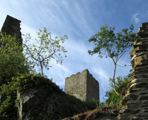25042026WanderungKobernnachGuels26
