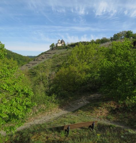 25042026WanderungKobernnachGuels28