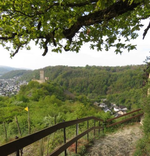 25042026WanderungKobernnachGuels34