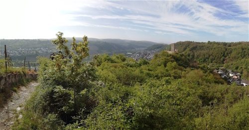25042026WanderungKobernnachGuels35