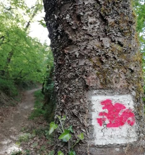 25042026WanderungKobernnachGuels43