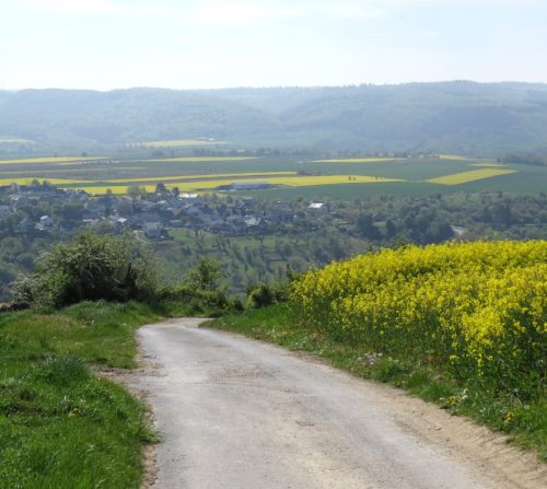 25042026WanderungKobernnachGuels62