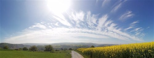 25042026WanderungKobernnachGuels63