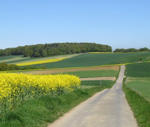 25042026WanderungKobernnachGuels64