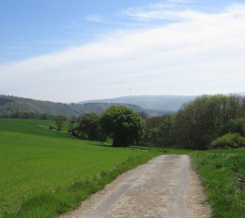 25042026WanderungKobernnachGuels65