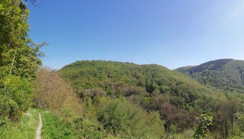 25042026WanderungKobernnachGuels72