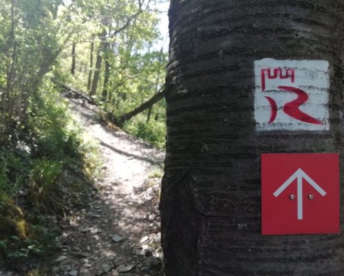 25042026WanderungKobernnachGuels81